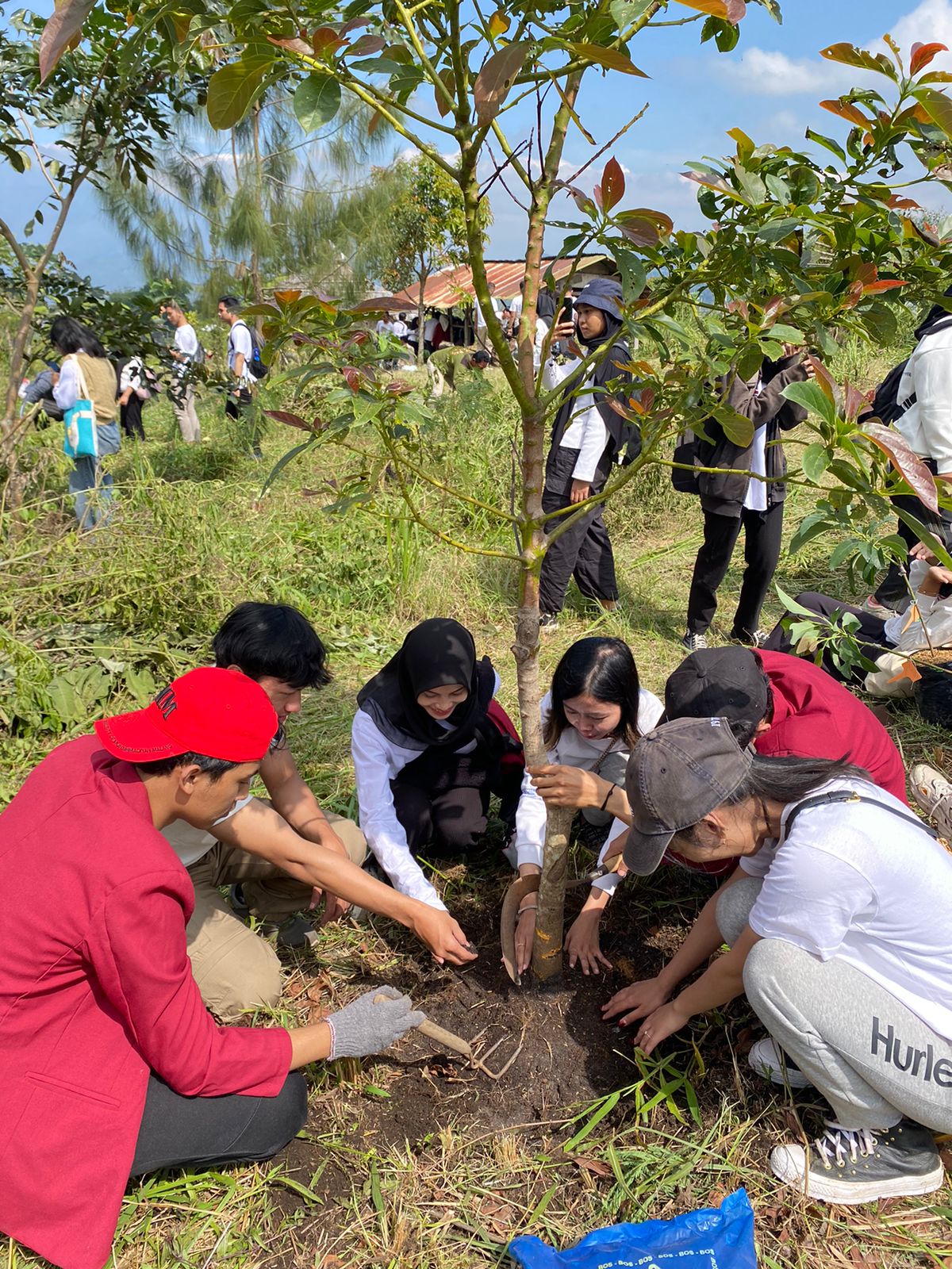 Penanaman 1 juta Pohon oleh Mahasiswa HI UMM Mengukuhkan Komitmen Terhadap Lingkungan
